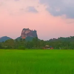 View Деревянный коттедж
